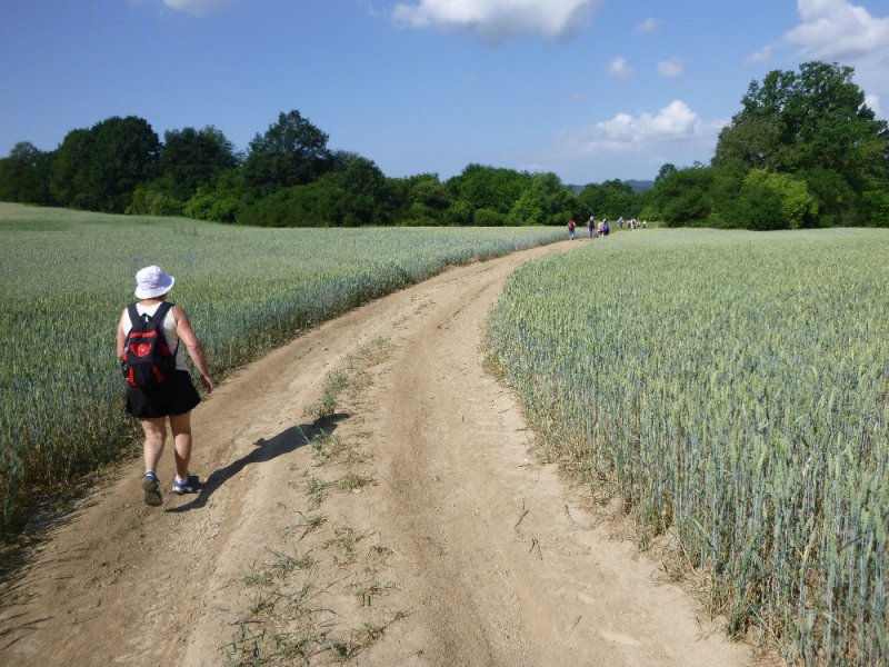 fotografie z akce NsL-Ješetice-Heřmaničky-13,5km