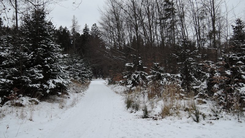 fotografie z akce NsL Konojedy Louňovice Mukařov