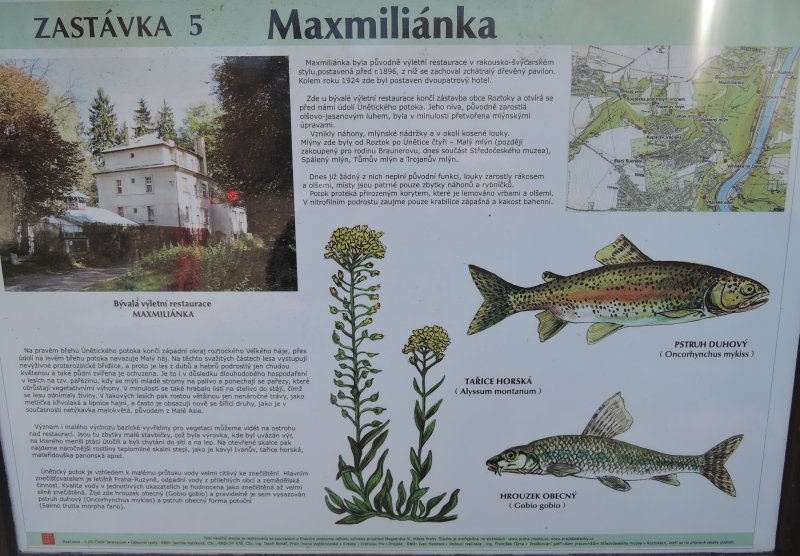 fotografie z akce NsL Okoř  Roztoky u Prahy
