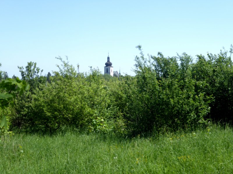 fotografie z akce NsL - Přítoky-K.Hora - 11,5 km