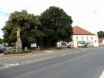 fotografie č. 7