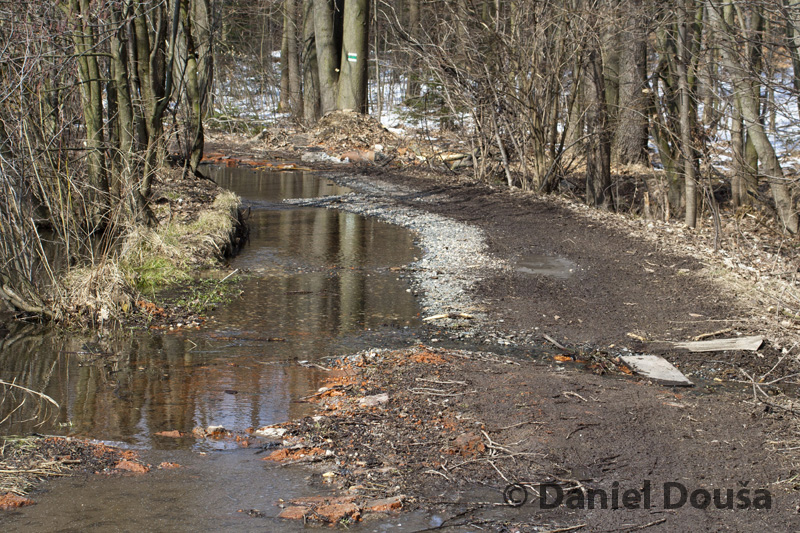 fotografie z akce Okolím Říčan