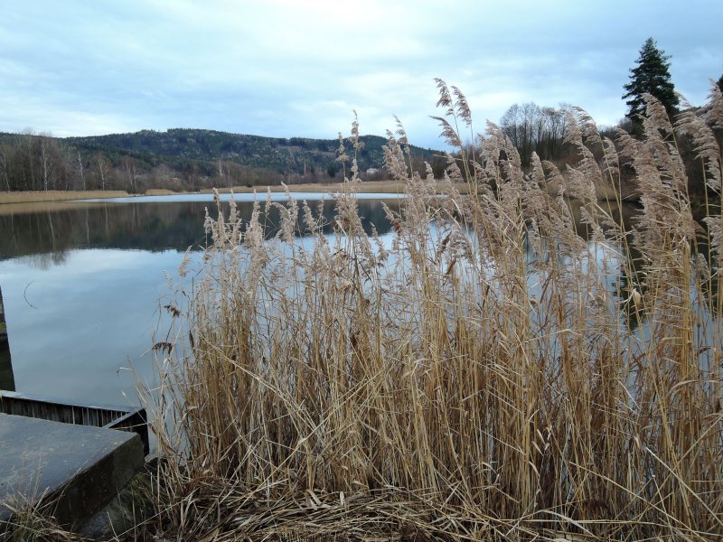 fotografie z akce Po hřebenu Brd 18km