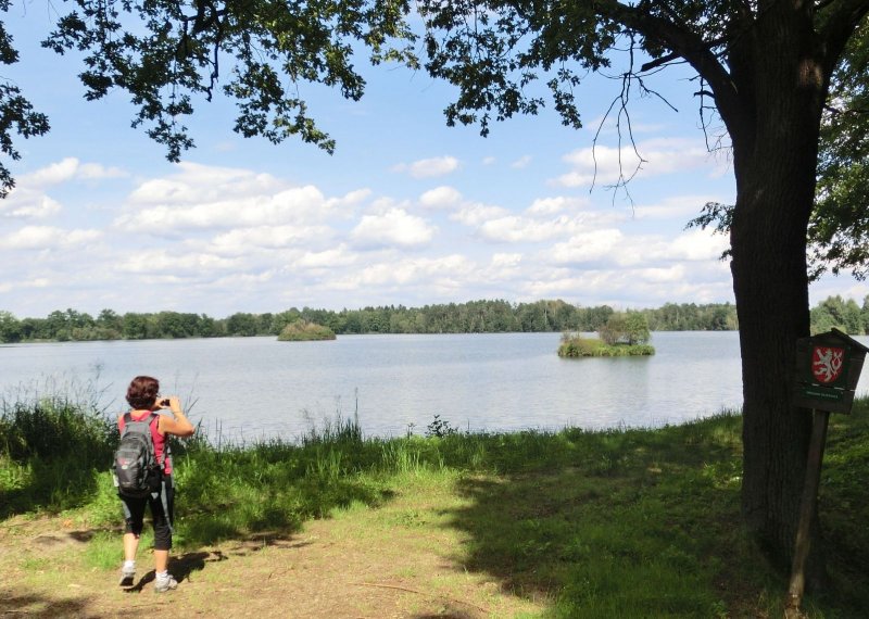 fotografie z akce Pochod pětilisté růže