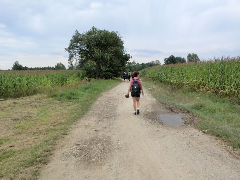 fotografie z akce Pochod pětilisté růže