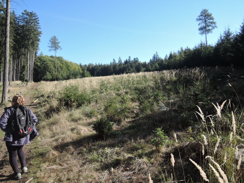 fotografie z akce Poznej Brdy 2 s Václavem  14km