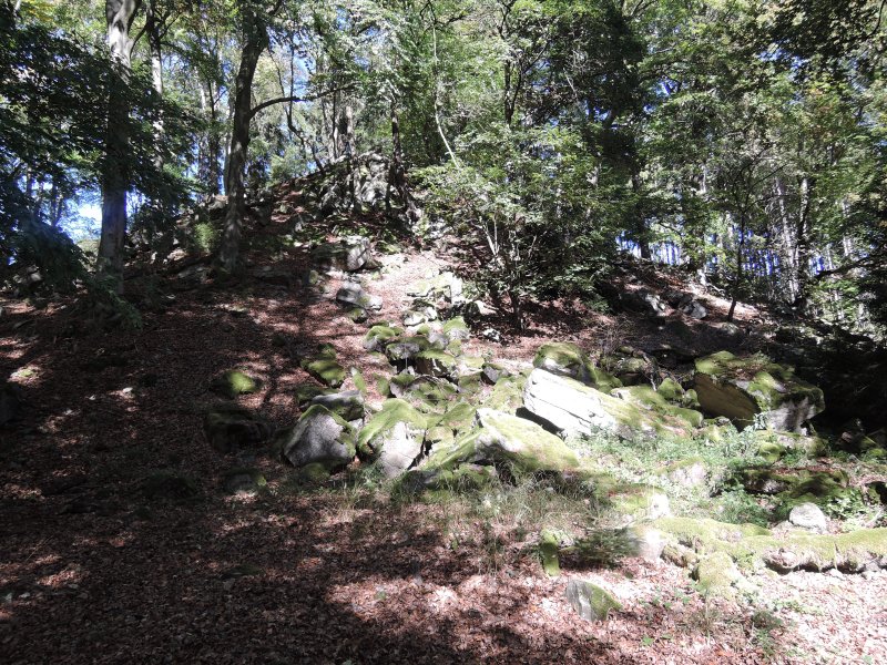 fotografie z akce Poznej Brdy 2 s Václavem  14km
