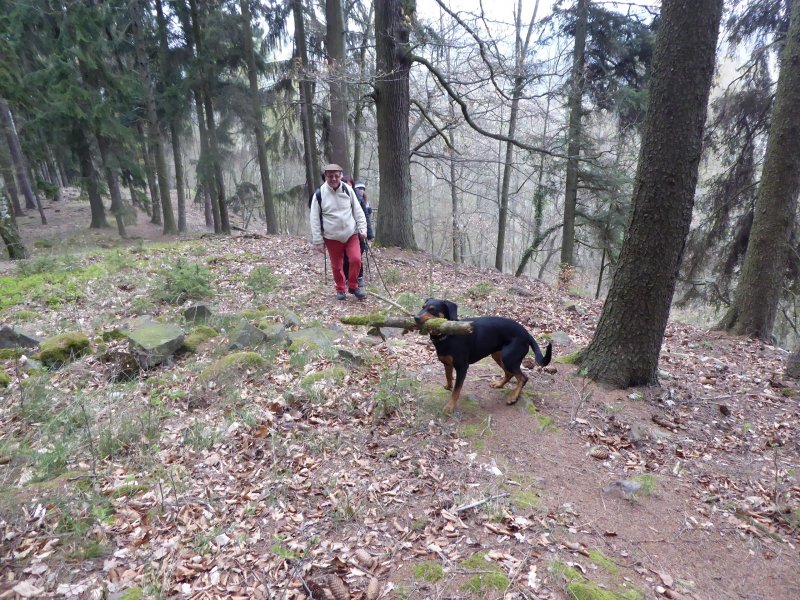 fotografie z akce Poznej Brdy(3) s Václavem-16km