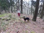 fotografie č. 16