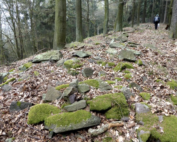 fotografie z akce Poznej Brdy(3) s Václavem-16km