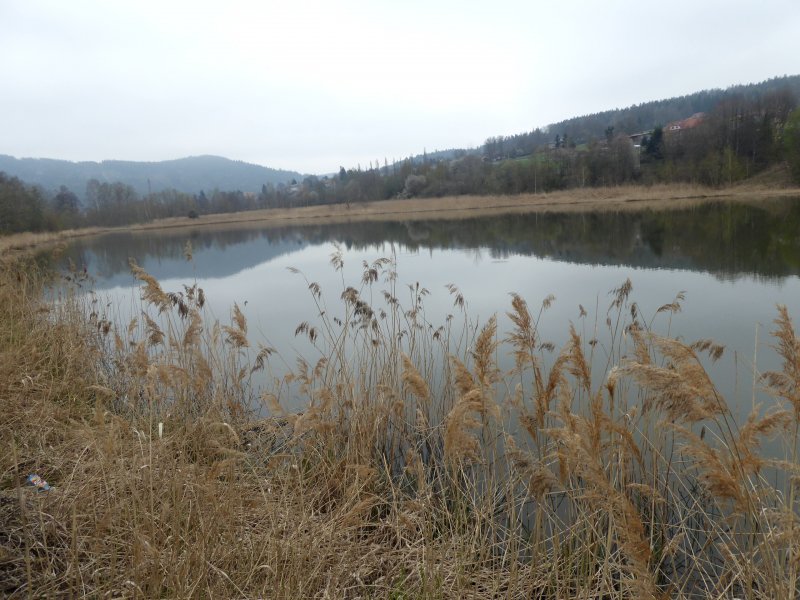 fotografie z akce Poznej Brdy(3) s Václavem-16km