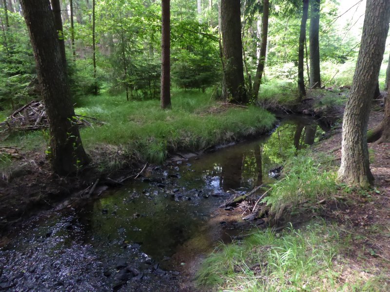 fotografie z akce Poznej Brdy s Václavem - 15 km