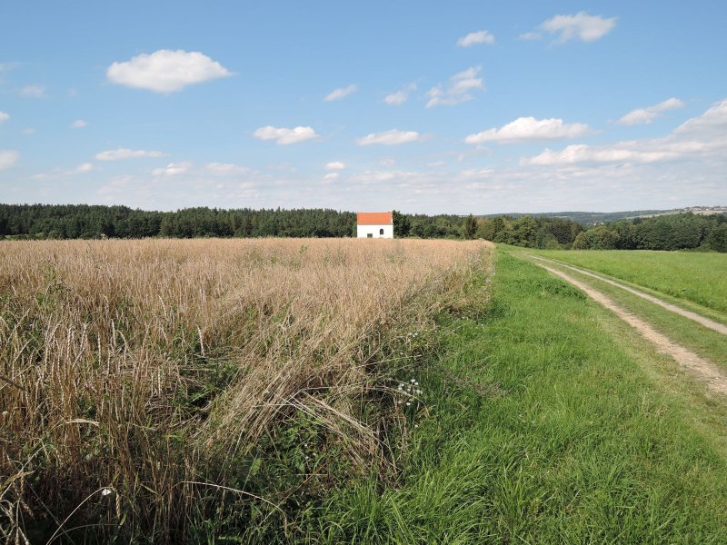 fotografie z akce Pětilistá Růže 2016 Velešín