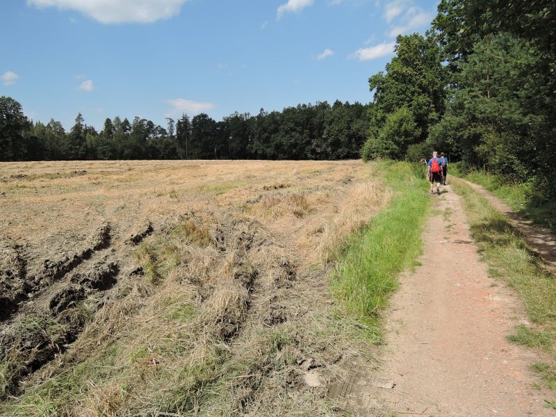 fotografie z akce Pětilistá Růže 2016 Velešín