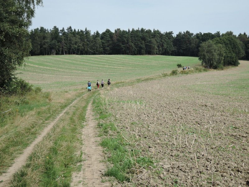 fotografie z akce Pětilistá Růže 2016 Velešín