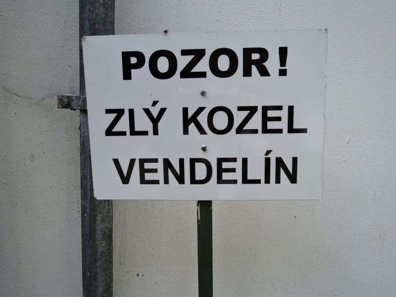 fotografie z akce Pětilistá Růže 2016 Velešín