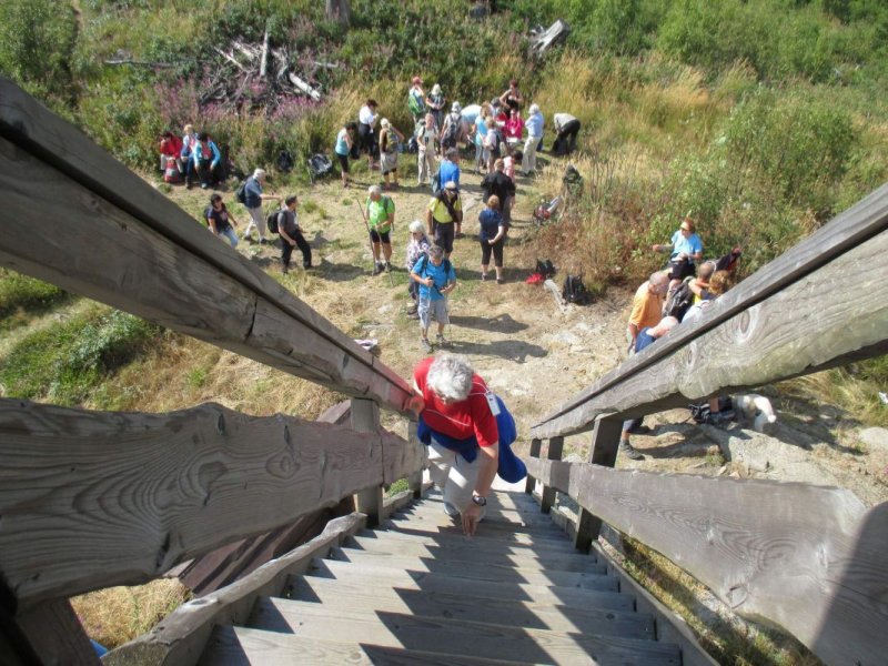 fotografie z akce Pětilistá růže  Horní Planá I