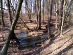 fotografie č. 21
