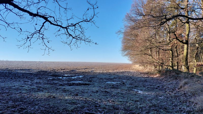 fotografie z akce Silvestrovský vejšlap 2024