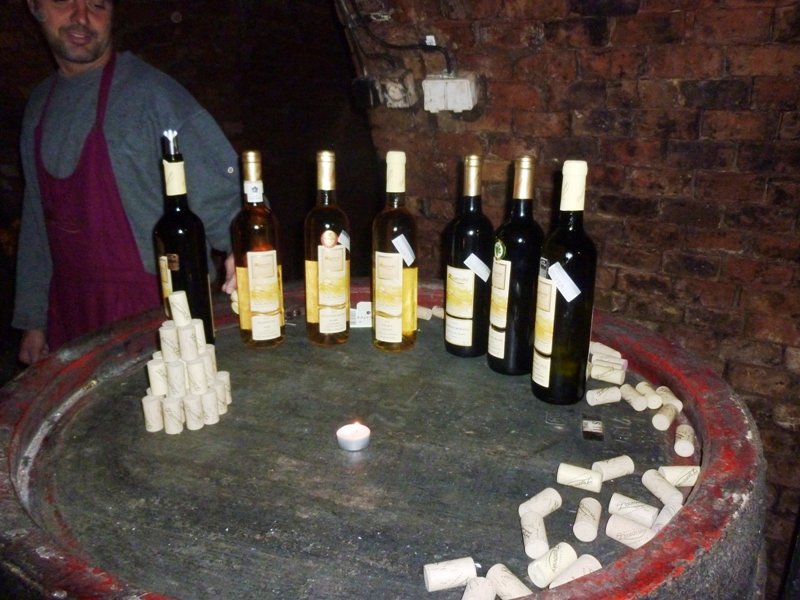 fotografie z akce Slováckými vinohrady 2011-II.