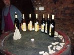 Slováckými vinohrady 2011-II.