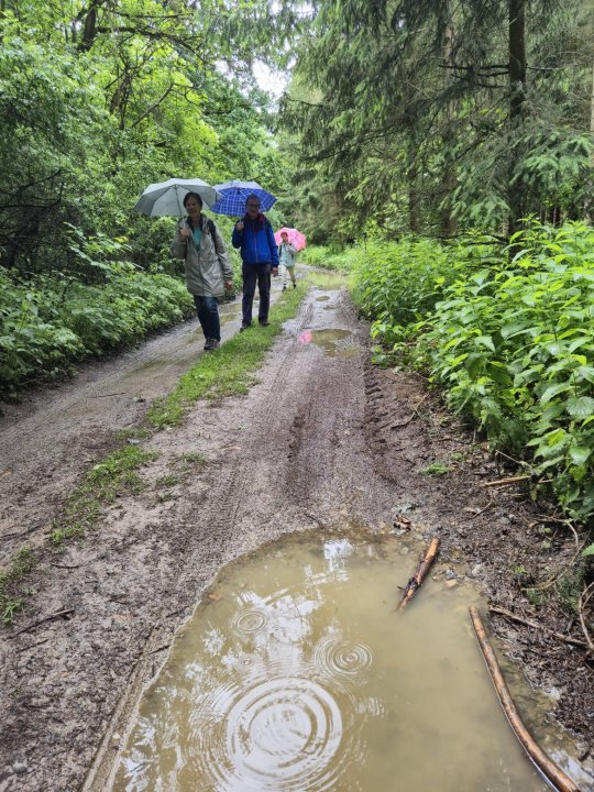 fotografie z akce SsI-Na kávu do zámku Jemniště