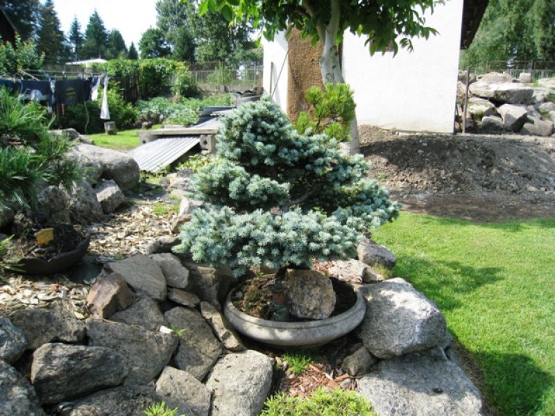 fotografie z akce Tři studně 2010