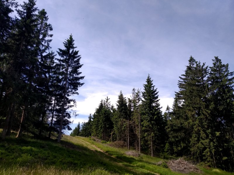 fotografie z akce Týden v Kynžvartu - I.