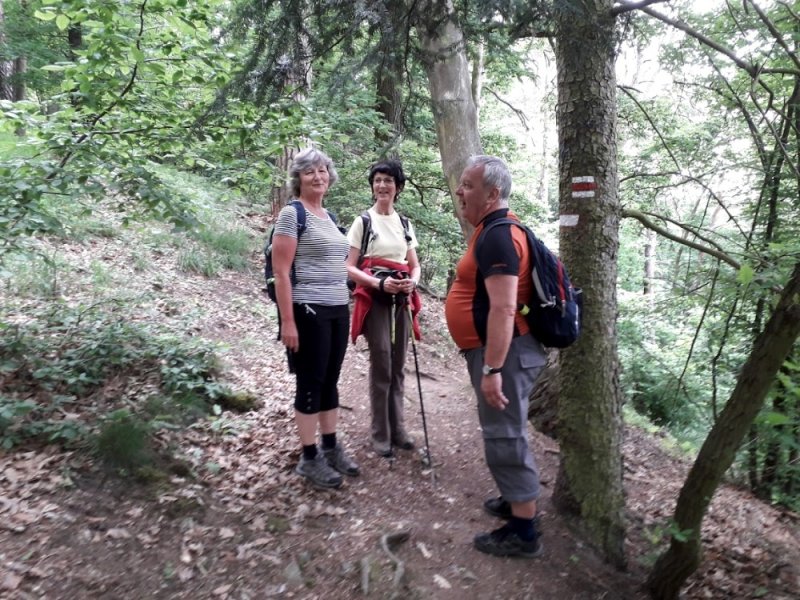 fotografie z akce Z Č.Šternberku do Sázavy-18 km