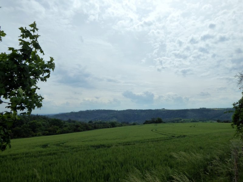 fotografie z akce Z Č.Šternberku do Sázavy-18 km