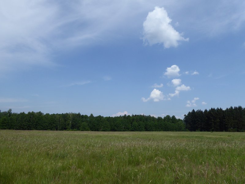 fotografie z akce Z Doks na Bezděz s Irenou-13km