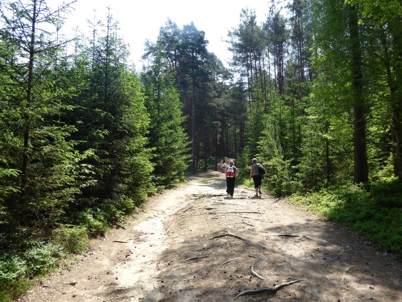 fotografie z akce Z Doks na Bezděz s Irenou-13km