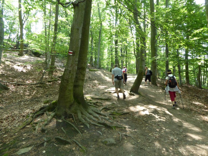 fotografie z akce Z Doks na Bezděz s Irenou-13km