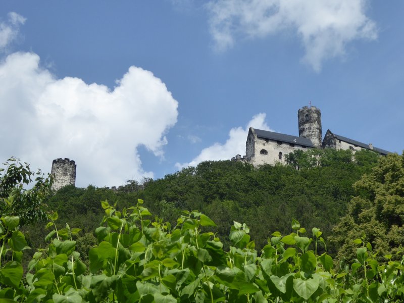 fotografie z akce Z Doks na Bezděz s Irenou-13km