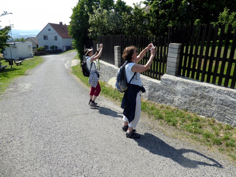 fotografie z akce Z Doks na Bezděz s Irenou-13km