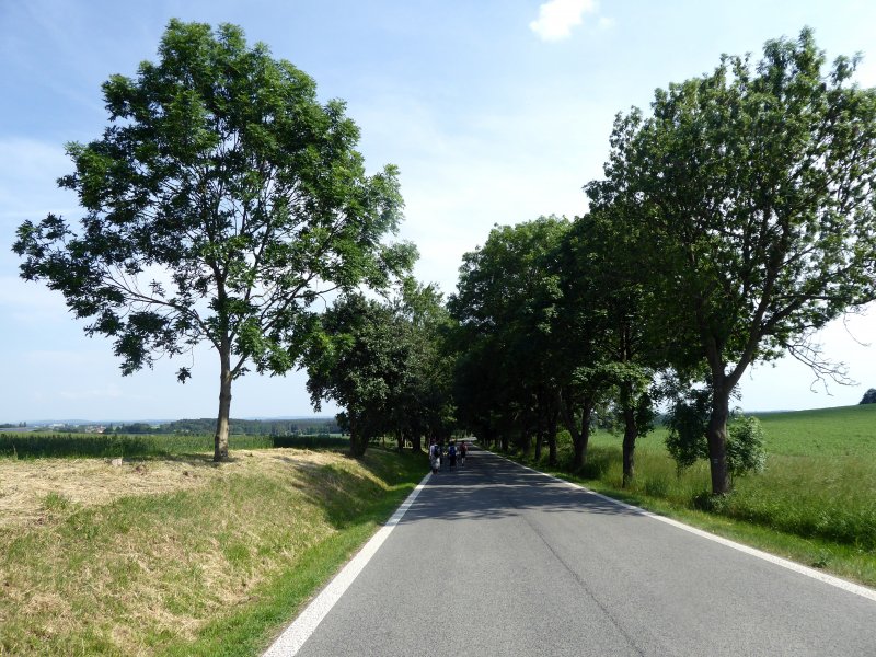 fotografie z akce Z Doks na Bezděz s Irenou-13km