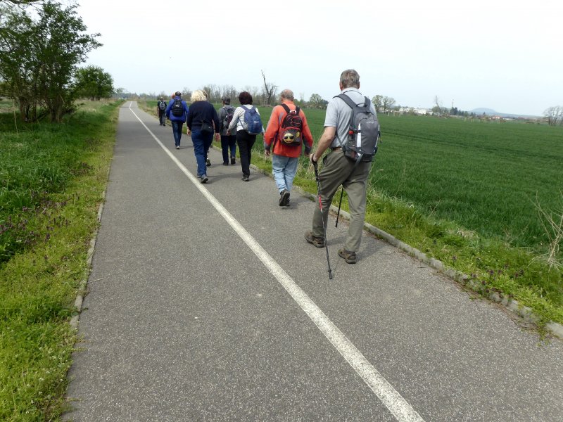 fotografie z akce Z Mělníku do Mlčechvost-16 km