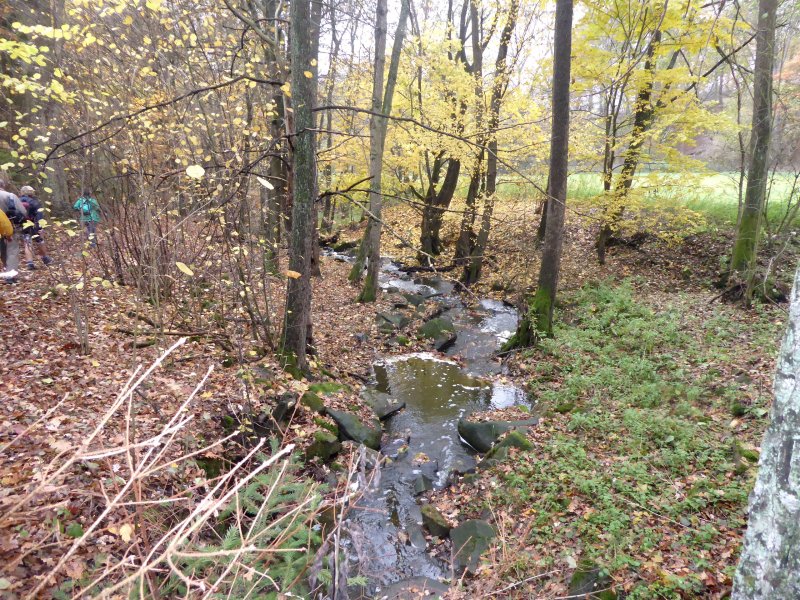 fotografie z akce Z Popovic do Čtyřkol - 14 km