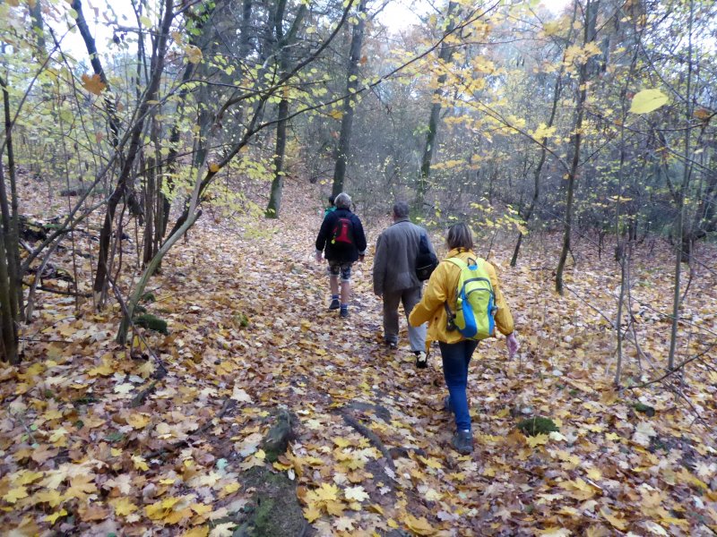 fotografie z akce Z Popovic do Čtyřkol - 14 km