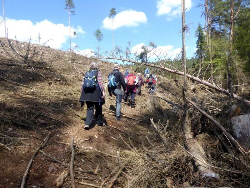 fotografie z akce Z Vlašimi do Č.Šternberku-17km