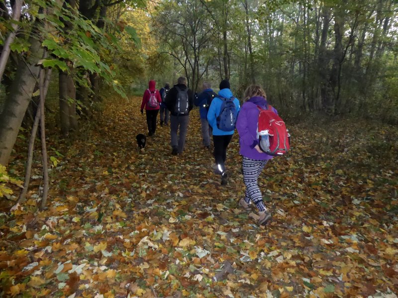 fotografie z akce Z Vrbčan do Sadské - 15,5 km